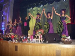 Zwickau_20.11.2012